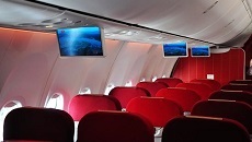 大新華航空有限公司旅客、行李國內(nèi)運輸總條件